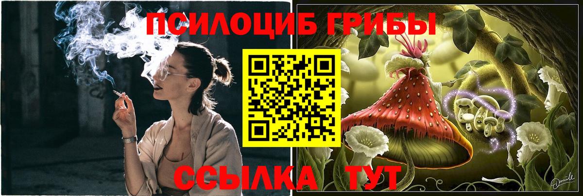 Псилоцибиновые грибы Psilocybe  Вход с VPN  где найти   Воронеж 