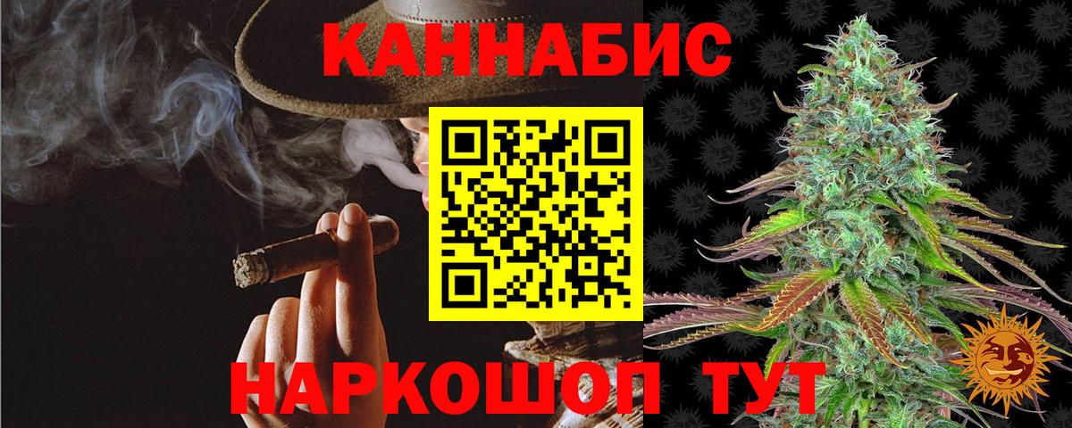 Бошки марихуана марихуана  Шишки марихуана план  Канабис тримм  Воронеж  Каннабис Bruce Banner  Вход с VPN 